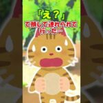 【2ch】野良猫をモフモフしていたら、近所の子供が…【アニマル】 #Shorts