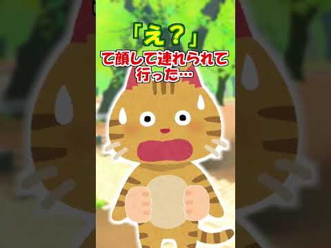 【2ch】野良猫をモフモフしていたら、近所の子供が…【アニマル】 #Shorts