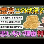 【2chまとめ】国が『備蓄米』を永遠に放出しない理由、判明してしまう【ゆっくり実況】