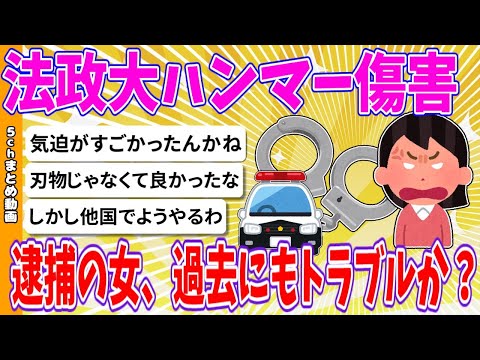 【2chまとめ】法政大ハンマー傷害、逮捕の女、過去にもトラブルか？【ゆっくり】